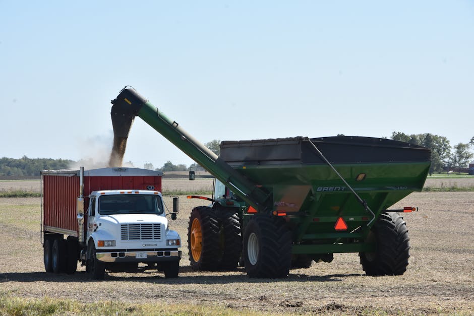 In an open rural field under a clear sky, a large green agricultural grain cart with the brand label 'Brent' is positioned on the right side of the image, equipped with heavy-duty black rubber tires and a black cover on top. The cart's unloading auger is extended towards a white dump truck with a red corrugated metal cargo container on the left side of the image, which has a front grille, rectangular headlights, and side mirrors. Fine brown seed or grain is flowing from the auger into the truck’s container, illustrating a typical on-site agricultural transfer process. Surrounding the scene, the landscape features flat, open terrain with sparse vegetation and distant trees on the horizon, providing a natural environment suitable for farming activities. The overall lighting indicates daytime with bright, even illumination, emphasizing the metallic textures and vibrant colors of the machinery—aligning with the context of independent agricultural waste or material handling and the broader scope of rubbish or material removal services provided by Rubbish Removal Brent.